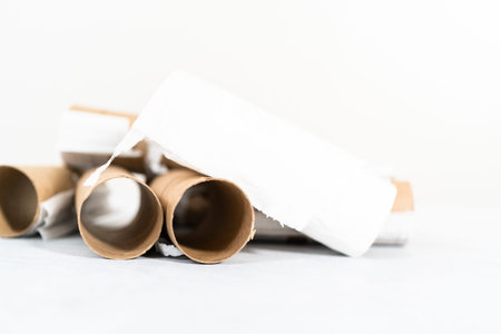 Used empty toilet paper rolls on a gray background.