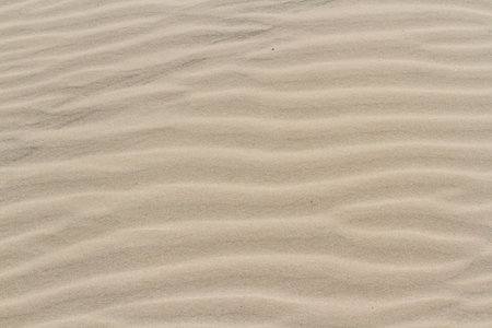 Patterns in the sand on South Padre Island, TX.