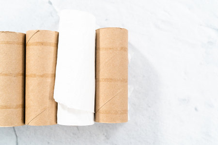 Used empty toilet paper rolls on a gray background.の写真素材