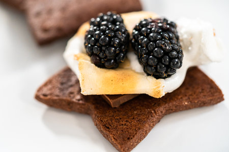 Making smores on a homemade star-shaped chocolate graham cracker with toasted marshmallow and fruits.の写真素材