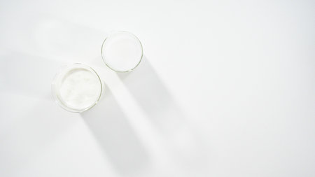Flat lay. Ingredients on the kitchen counter to prepare homemade coconut ice cream.の写真素材