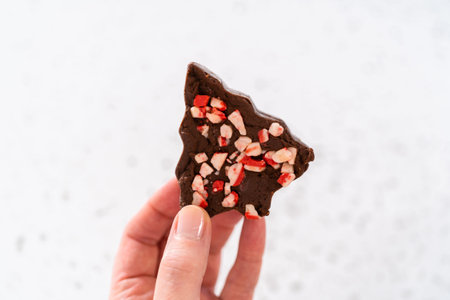 Holding homemade Christmas cookie-cutter peppermint fudge.