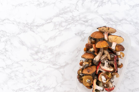 Variety wild edible mushrooms from the Colorado mountains.の写真素材