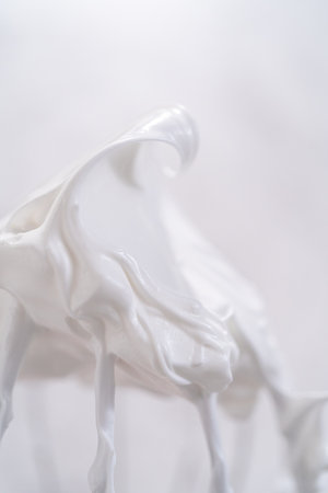White meringue on top of the whisk from kitchen mixer.の写真素材