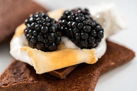 Making smores on a homemade star-shaped chocolate graham cracker with toasted marshmallow and fruits.の写真素材