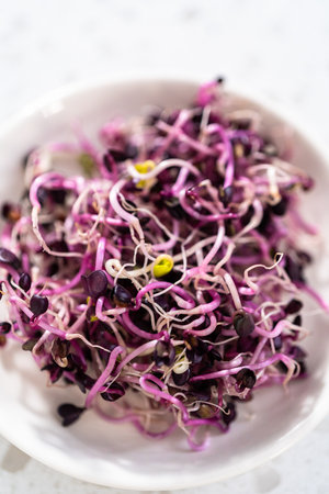 Measured ingredients in glass mixing bowls to make breakfast egg and sprouts sandwich.の写真素材