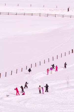 Ski brake at local school in Colorado.のeditorial素材