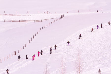 Ski brake at local school in Colorado.のeditorial素材