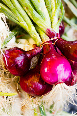 Fresh red onon at the local farmers market.の写真素材
