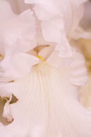 Garden in full bloom on a sunny summer day.の写真素材