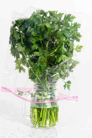 Storing fresh parsley in a jar with water and cover with a plastic bag.の写真素材