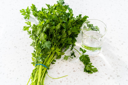 Bunch of fresh parsley is prepared for proper storage.の写真素材