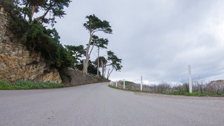 In this serene winter scene, a vehicle carefully makes its way along Los Osos Valley Road and Pecho...