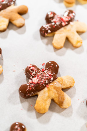 Preparing star-shaped cookies, half-dipped in chocolate, accented with peppermint chocolate chips for the holidays.の写真素材