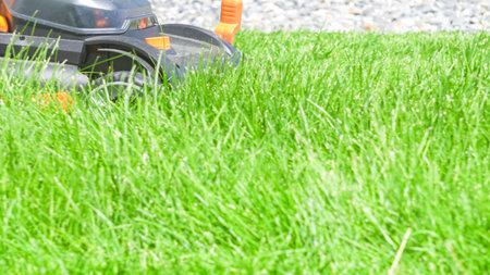 At a residential suburban house, a lush green lawn is meticulously mowed using an electric lawn...