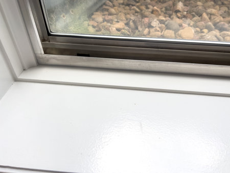 A close-up view of a basement window showing the white interior window frame, with an outside view...