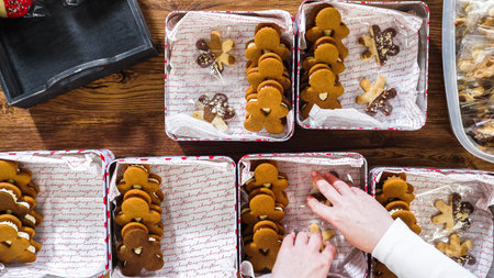 Flat lay. Lovingly homemade gingerbread and sugar cookies, half-dipped in rich chocolate, nestled in...