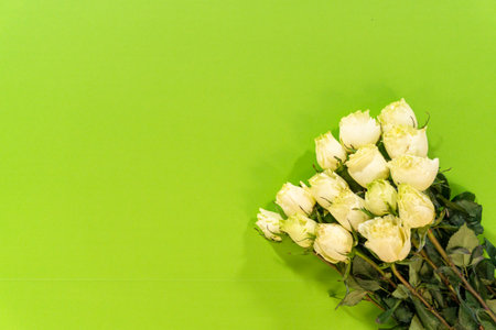 A fresh bouquet of white roses placed on a green background, leaving generous copy space to the left. Perfect for marketing, invitations, or blog headers.の写真素材