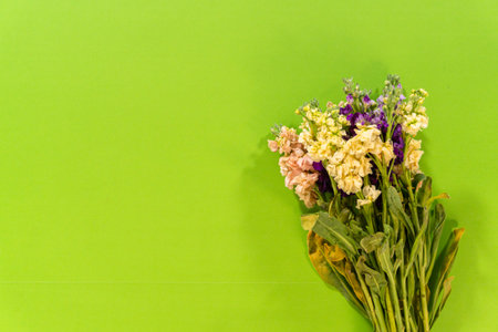 A hand-held bouquet of colorful stock flowers positioned right, with ample green background space. Ideal for greeting cards, promotions, or florist branding.の写真素材