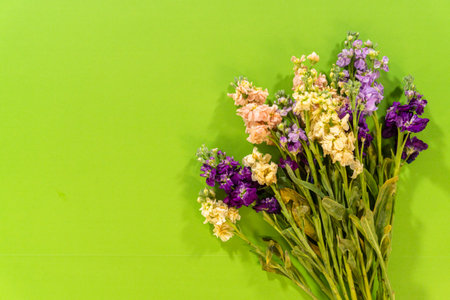 A bouquet of mixed spring flowers arranged side-by-side against a vivid green backdrop. The soft pastel tones contrast beautifully with the fresh foliage. Great for seasonal ads, floral banners, or romantic cards.の写真素材