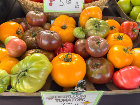 A basket display of heirloom tomatoes at a farmers market. The tomatoes are colorful in shades of red, green, yellow, and orange under natural light.の写真素材