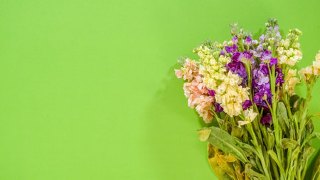 A bunch of fresh flowers with pastel petals in pink, yellow, and purple rests diagonally on a green background. The stems are loosely gathered.の写真素材