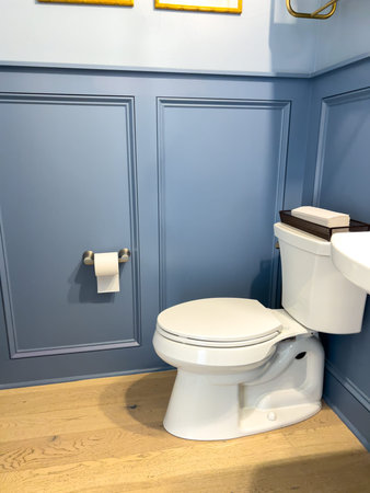 Compact bathroom with blue wainscoting, white toilet, and light wood flooring. The natural light...