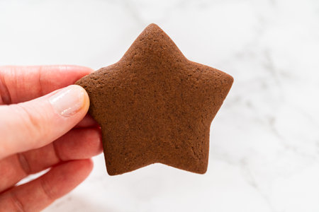 Hand holding a single chocolate star cookie against a plain background.の写真素材
