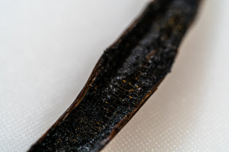 A close up view of a vanilla bean highlights its dark color and textured surface. Fine details and natural imperfections are visible under soft lighting. The background remains clean and unobtrusive.の写真素材