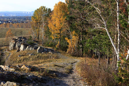 road in the Siberian autumn forestの写真素材