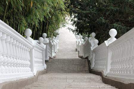 a long white staircase along the trees in the Park