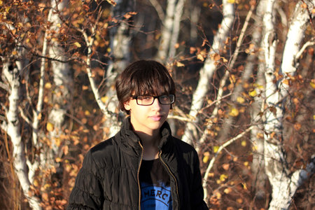 A girl walks in the autumn birch forestの写真素材