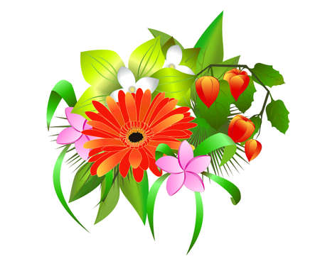 A Bouquet Of Different Tropic Flowers Isolated On White Background. Gerbera, physalis, plumeria.のイラスト素材