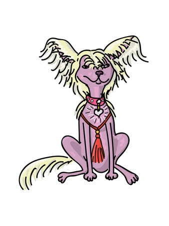 Sitting Chinese crested dog, hairless breed of dog. Vector illustration in cartoon style.のイラスト素材
