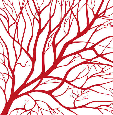 Blood vessels. Abstract pattern with red veins. Vector background.のイラスト素材
