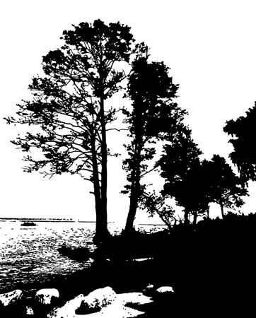 The silhouette of pines on sea shore or river shore. black traced illustration. landscape.のイラスト素材