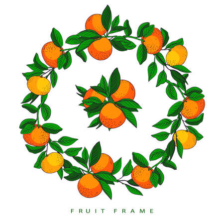 Fruit frame. Frame from mandarins. Healthy frame.のイラスト素材