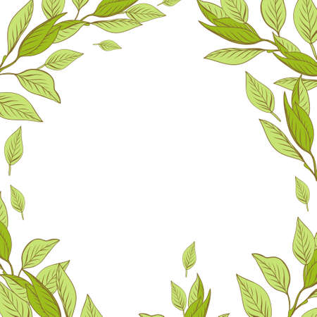 Beautiful spring background with leaves. Floral frame for post, banner.のイラスト素材
