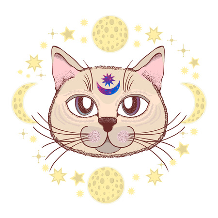 Vector with a cat, moon, stars. Magical and fairy. Suitable for postcards, printing, posters, textiles Cartoon styleのイラスト素材