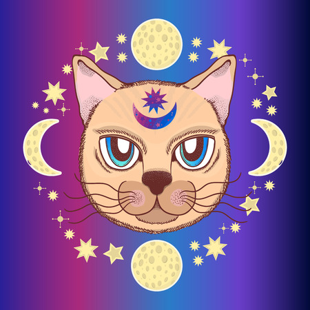 Vector pattern with a cat, moon, stars. Magical and fairy. Suitable for postcards, printing, posters, textiles Cartoon styleのイラスト素材