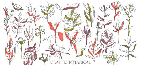 Hand drawn set sketch style Wild flowers . Line nature style,Drawing flora,hand drawn botany. Vector illustration.のイラスト素材