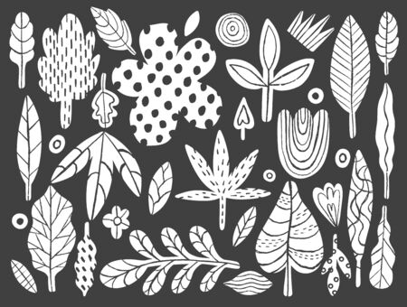 Nature set plant abstract naive style.Botanical hand drawing.Vector illustration.のイラスト素材