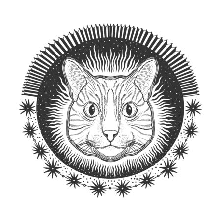 Mystic magic cat. Portrait face head hand drawn vintage style.Line art ink painting.Graphic design tatoo.Vector illustration.のイラスト素材