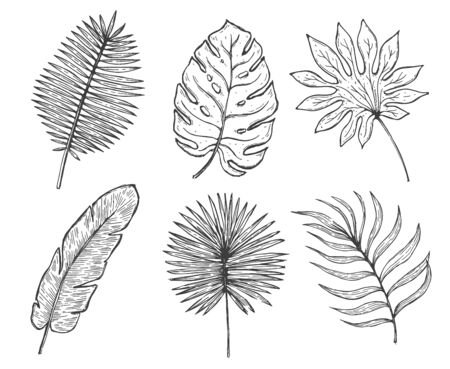 Tropical plant leaf set.Botanical floral element background.Design for home decor, fabric, carpet, wrapping. Vector illustration.のイラスト素材