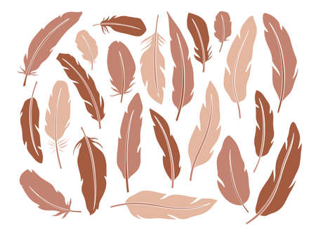 Set feather abstract isolated decoration. Boho rustic style.のイラスト素材