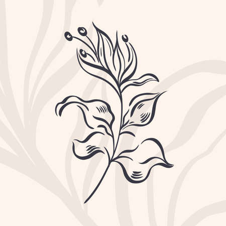 Plant nature hand drawn. Floral botanical element.Elegante vintage style.Isolated in white background.のイラスト素材