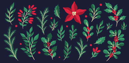 Christmas floral plant set.New year 2021 collection branch leaf.Decoration botanical design.のイラスト素材