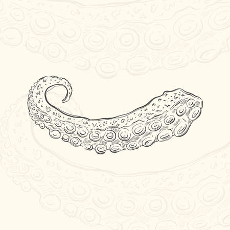Illustration tentacles octopus sketch food.Hand drawn element design menu. Isolated object in white backgroundのイラスト素材