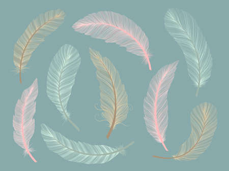 Feather hand drawn sketch realism style. Tribal native american. Boho ethnic decoration.のイラスト素材