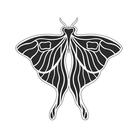 Art nouveau style basic butterfly element. 1920-1930 years vintage design. Symbol motif design. Isolated on white.のイラスト素材